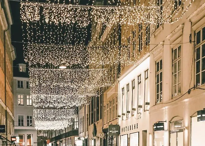 Apartment Cozy In Center *